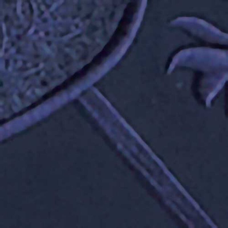 Tommy Hilfiger Crest Embroidery Intechno Knit Sweatshirt image number 2